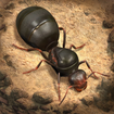 The Ants: Underground Kingdom – مورچه‌ها: قلمروی زیرزمینی