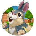 Bunny Run