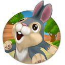 Bunny Run