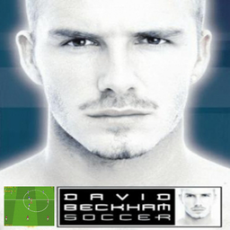 david beckham soccer