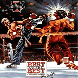 Championship Karate