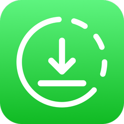 Download Video - Story Saver