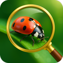 Insect Spider & Bug identifier