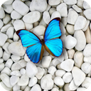 Stone Wallpapers 4K