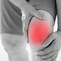 Knee Pain Exercises