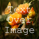 Text Over Image Write Text On