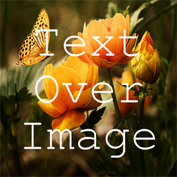 Text Over Image Write Text On