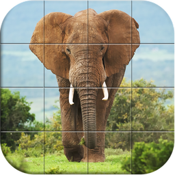 Wildlife Puzzle