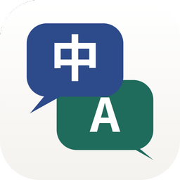 Video Voice Translate