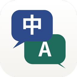 Video Voice Translate