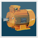 Electrical Motor