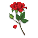 Roses Stickers - WAStickerApps