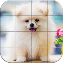 Tile Puzzle Pomeranian Dogs