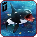 Killer Whale Beach Attack 3D