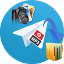 copy telegram files