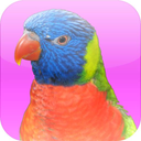 Animal Photos-Kids Flashcards