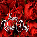 Happy Rose Day:Greeting, Photo