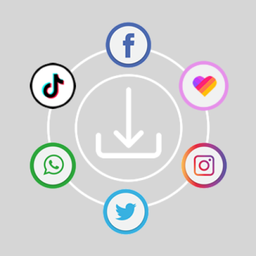 All In One Status Saver