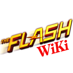 flash wiki