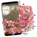 Sakura Launcher Theme