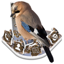 Jay Bird Theme