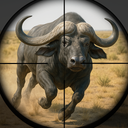 Animal Hunting Desert Shooting