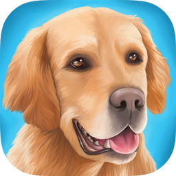 DogHotel - My boarding kennel