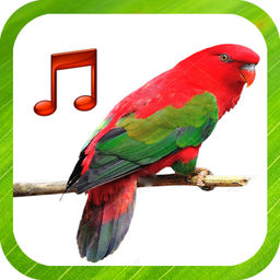 Bird Sounds Ringtones