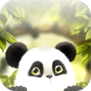 Panda Chub Live Wallpaper Free