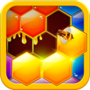 Hexa Hive Puzzle : hexagon block game