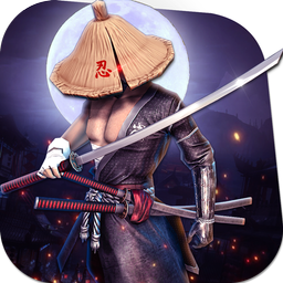 Ninja Shadow Hunter Assassin