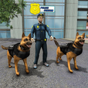 NY City K9 Police Dog Survival