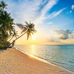Beach Wallpaper
