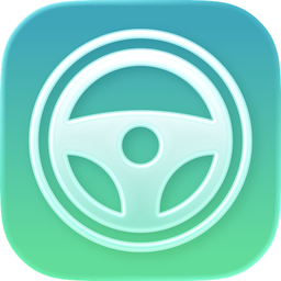 Driver: Dash Cam & Trip Log