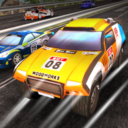 Rally Car Racing