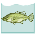 Blackbass Breeding (Aquarium)