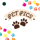 Pet Pictures - Photo Editor - Pet Face Wallpapers