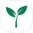 Money Tree - Savings and Cash