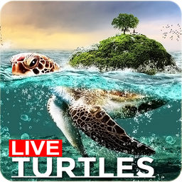 🐢 Sea Turtle Lock Screen Live Wallpaper