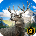 American Hunter: Big Buck 3D Hunting Games