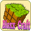 Bloxx Craft Girl