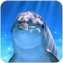 Tap Dolphin -3Dsimulation game