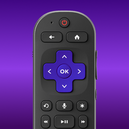 Universal TV Remote Control
