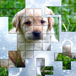 PicPu - Dog Picture Puzzle