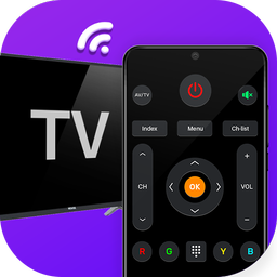 Universal TV Remote Control