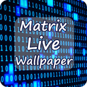 Matrix Digital Binary Code Liv