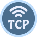 TCP Socket