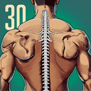 Back Workout & Healthy Posture
