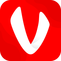 Vidmy Video Downloader
