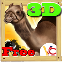 Camel race 3D